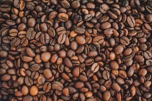 Discovering the Rich World of Fair Trade and Sustainable Gourmet Coffee