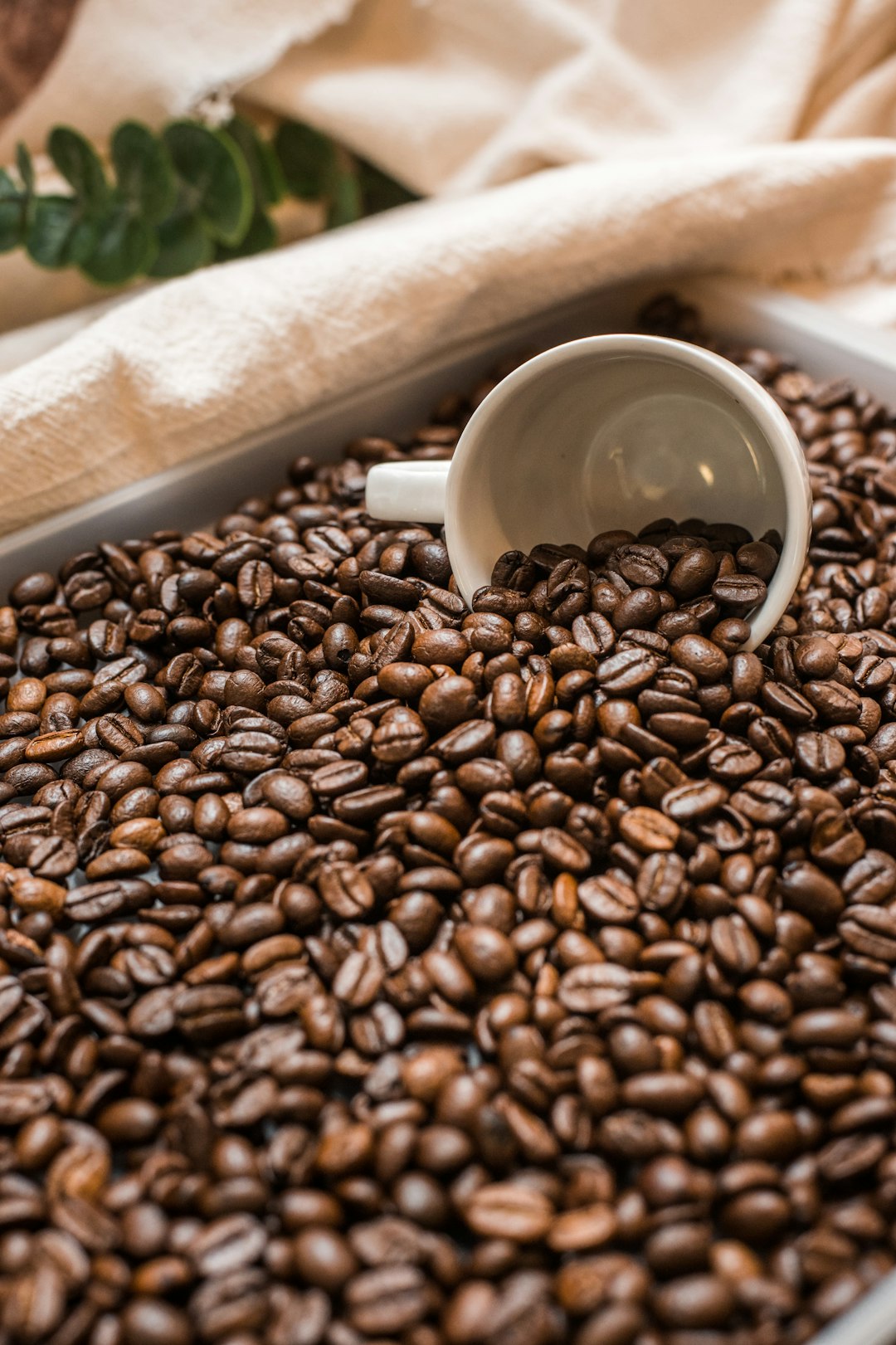 The Origins of Gourmet Coffee: Discovering the Rich History of Single Origin Coffee